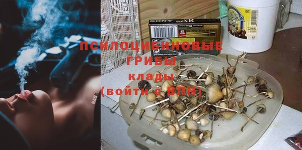 apvp Новозыбков
