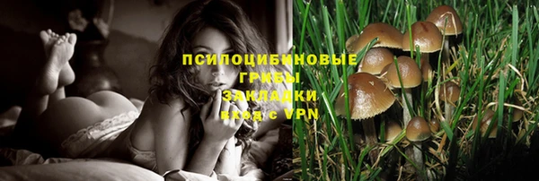 ECSTASY Абинск