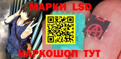 МДПВ Донецк