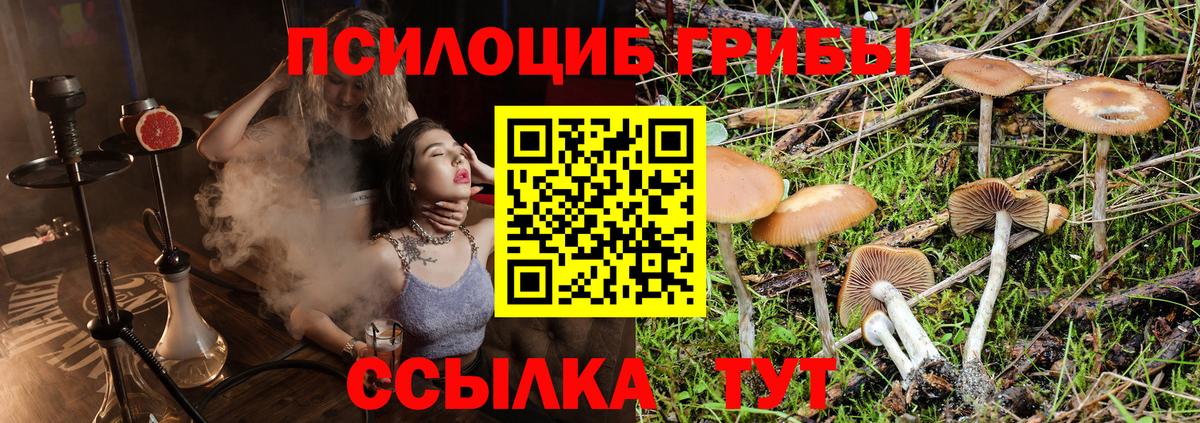 Янаул  Галлюциногенные грибы мицелий  Вход с VPN 