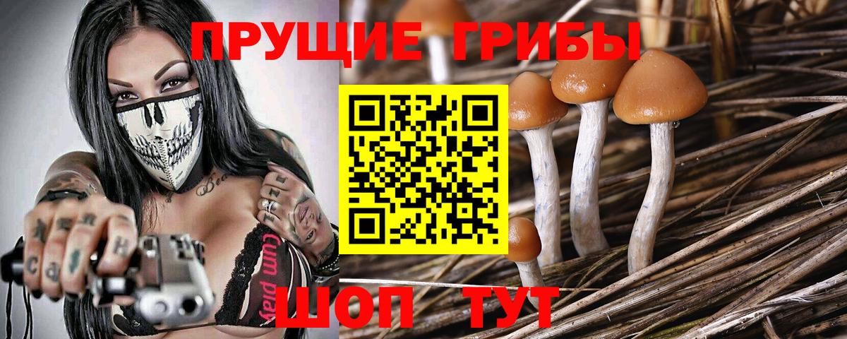 Галлюциногенные грибы MAGIC MUSHROOMS Янаул