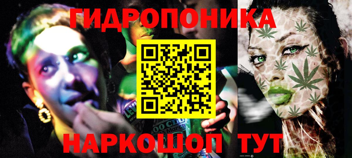 Янаул  Бошки марихуана семена  Каннабис сатива  Вход с VPN  Каннабис OG Kush 